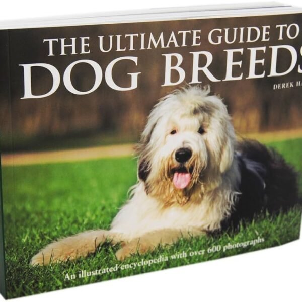 Dog Breeds