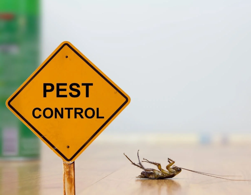 Pest Control
