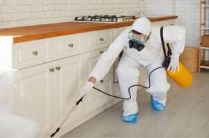 Pest Control: Protecting Homes and Businesses From Unwanted Pests