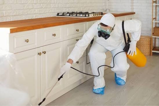 Pest Control